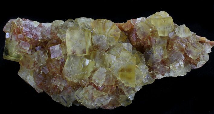 Lustrous, Yellow Cubic Fluorite Crystals - Morocco #37484